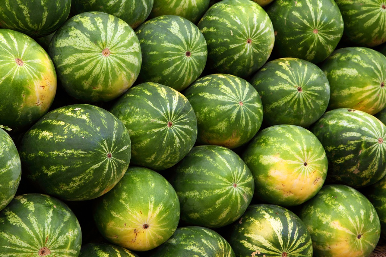 sandia